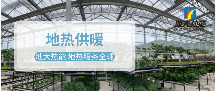 發(fā)揮地?zé)豳Y源優(yōu)勢(shì)，地?zé)徂r(nóng)業(yè)實(shí)現(xiàn)花卉產(chǎn)業(yè)特色發(fā)展 | 地大熱能 地?zé)岱?wù)全球